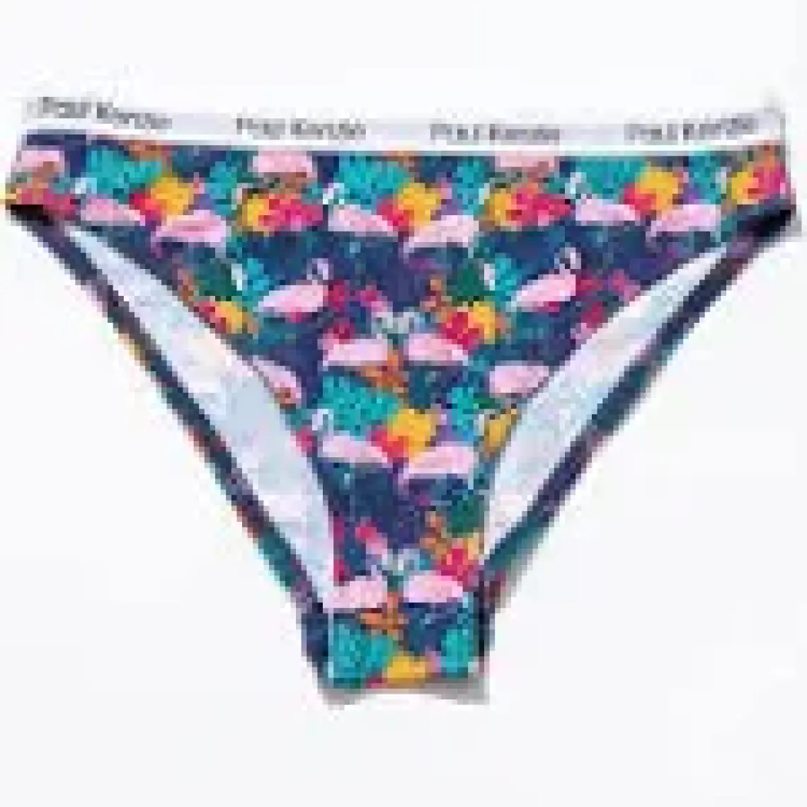 Paul Kenzie Unique Effect Desenli Kadın Slip Külot - Flamingo