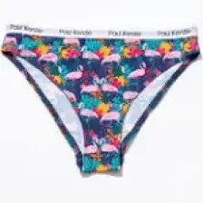 Paul Kenzie Unique Effect Desenli Kadın Slip Külot - Flamingo