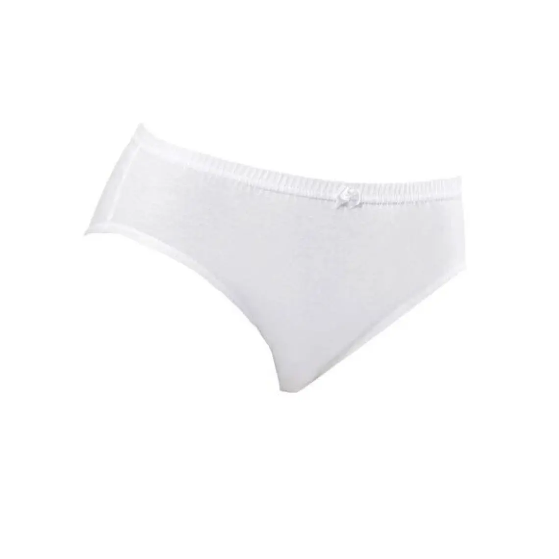 Erdem 2501 Pamuklu Kadın Beyaz Külot 6'lı 3XL
