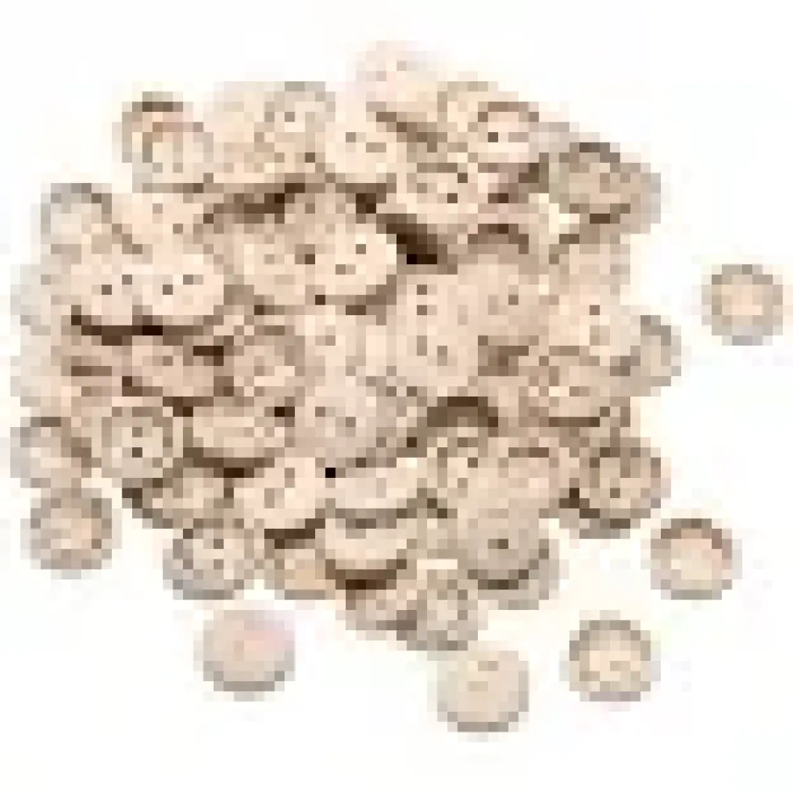 20 Adet Handmade Yazılı 20mm Yuvarlak Ahşap Düğme