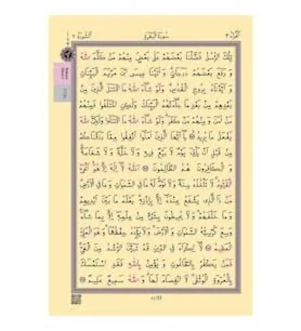 Cami Boy Kur'an-I Kerim (2 Renkli, Pembe, Mühürlü)