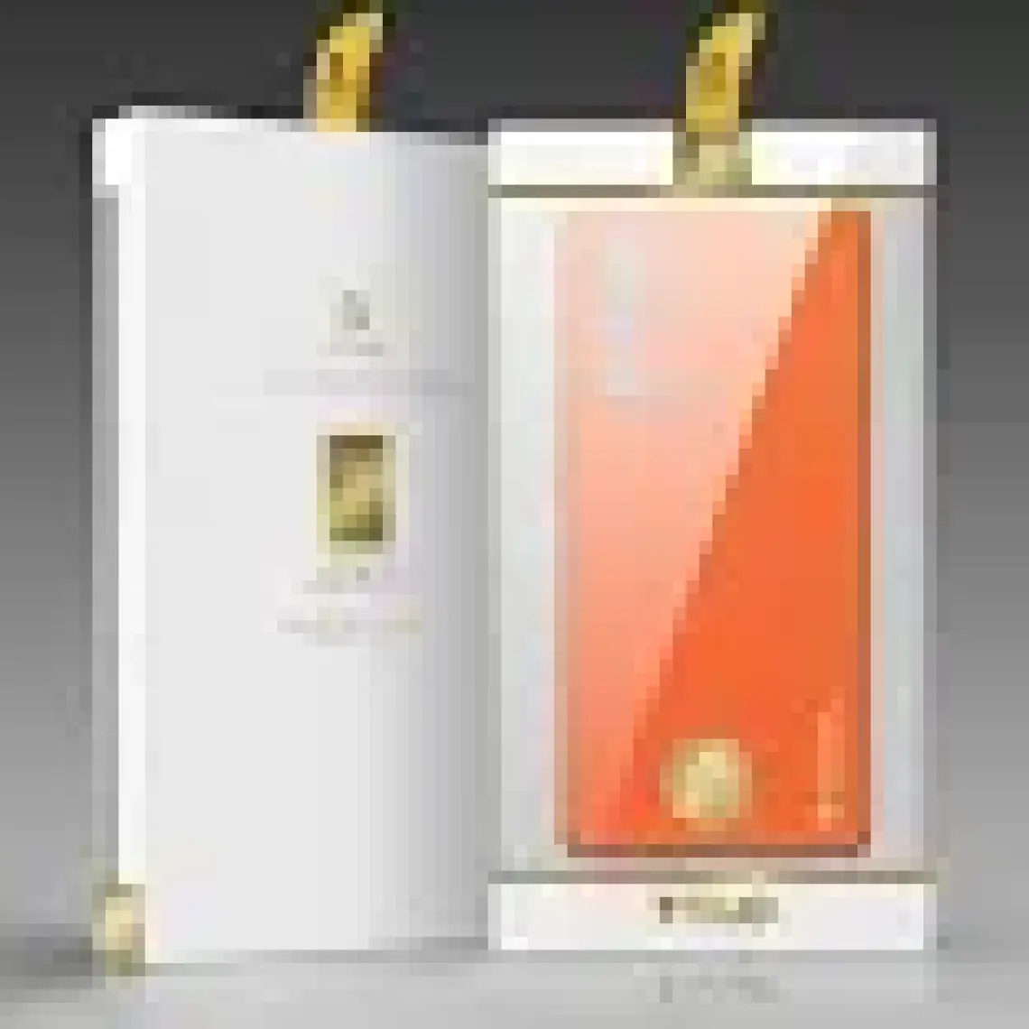 Dux Ducis Samsung Galaxy Note 20 Kılıf Yolo Series Premium Arka Koruma Kılıf