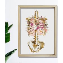 Anatomi Sanatsal Baskısı, Iskelet Sanatı, Doktor Ofis Dekoru