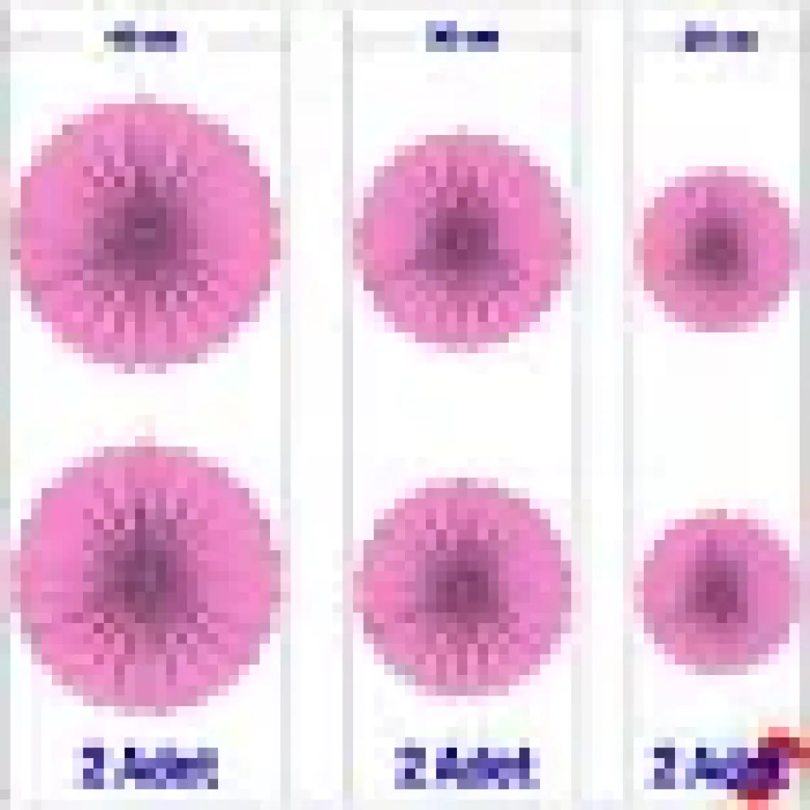 Süsle Bebek ve Parti Kağıt Yelpaze Süs, 6 Adetli Set, Pembe