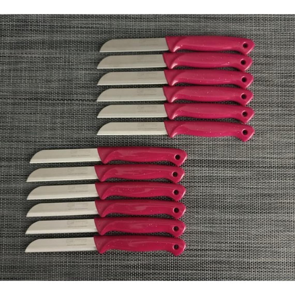 Solingen Meyve Bıçağı 12'li Simli Pembe