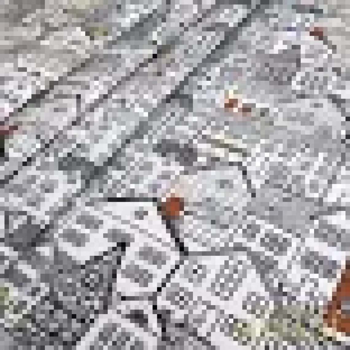 Suzani Şehir Desenli Dijital Baskılı Kumaş KMS-0869