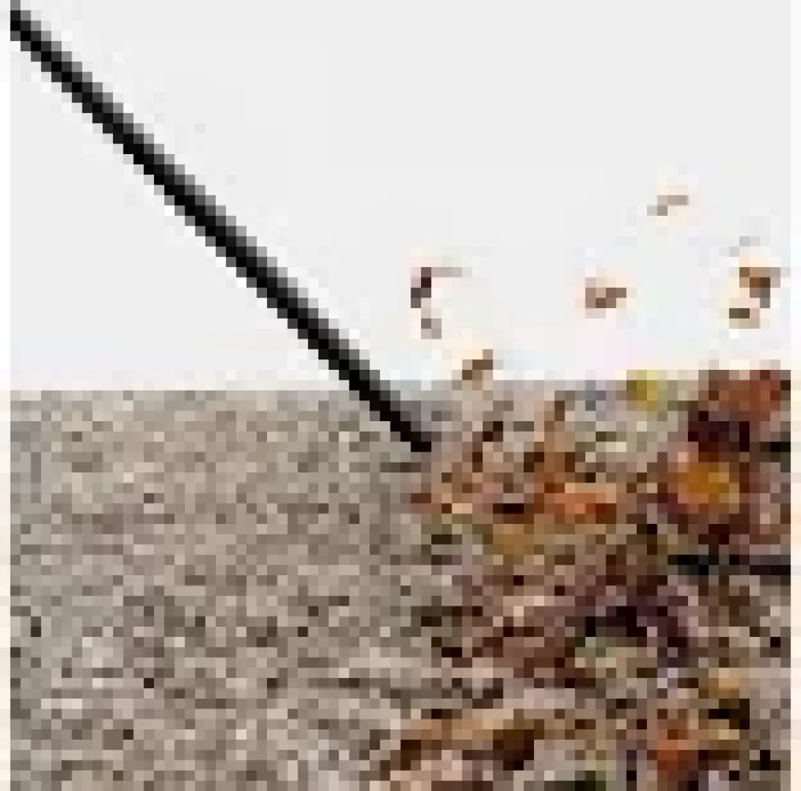Karcher Kwd 3 S V-15/4/20 Ae Islak Kuru Süpürge