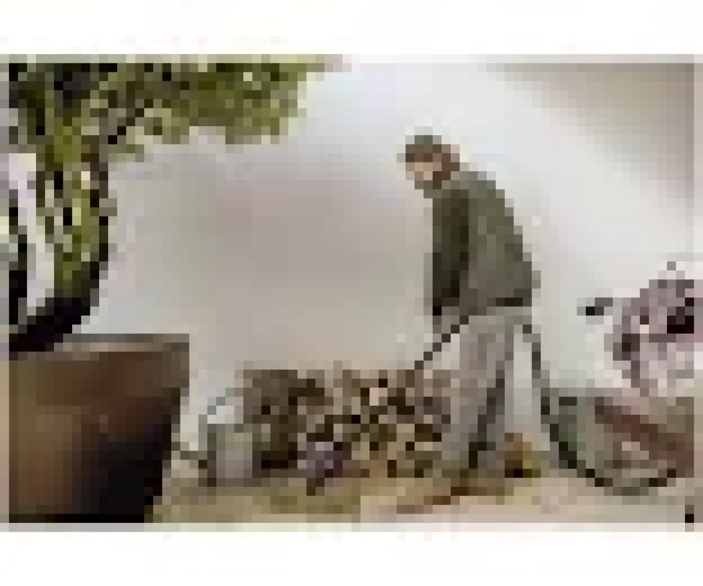 Karcher Kwd 3 S V-15/4/20 Ae Islak Kuru Süpürge