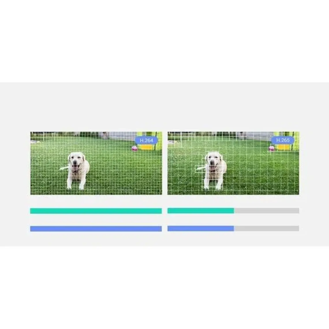 Ezviz CS-C3TN Internet Güvenik Kamerası