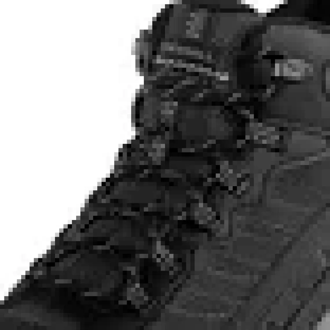 Merrell Speed Strike 2 Mid Gtx Erkek Bot