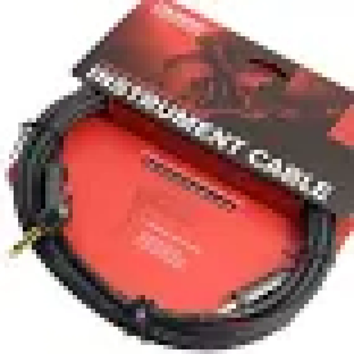 Planet Waves PW-AGLRA-10 Enstrüman Kablosu (3,05 m)