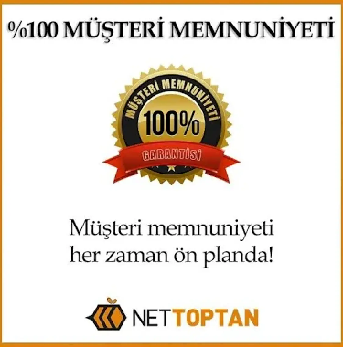 Ensa Kalorifer Peteği Fırçası