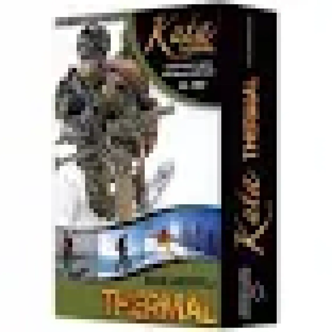 Anıl 2002 Erkek Termal Sıcak İçlik