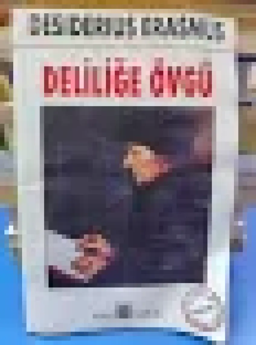 Deliliğe Övgü