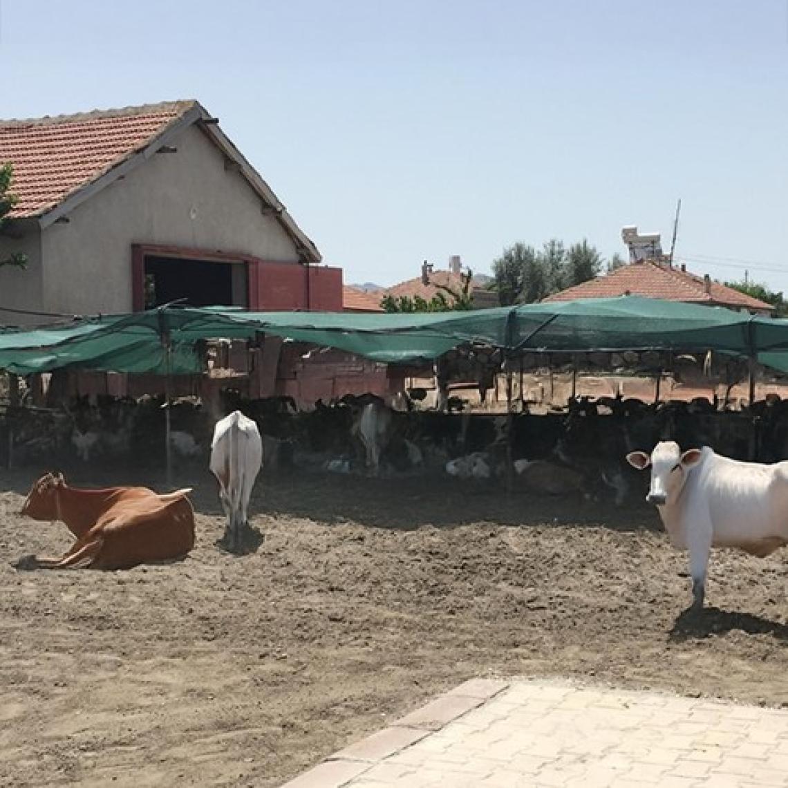 Morilu Gölgelik File Çit Filesi - 75lik - 1 Metre En Yeşil - Düz Kenar - Çit Örtüsü Çit Gölgelik