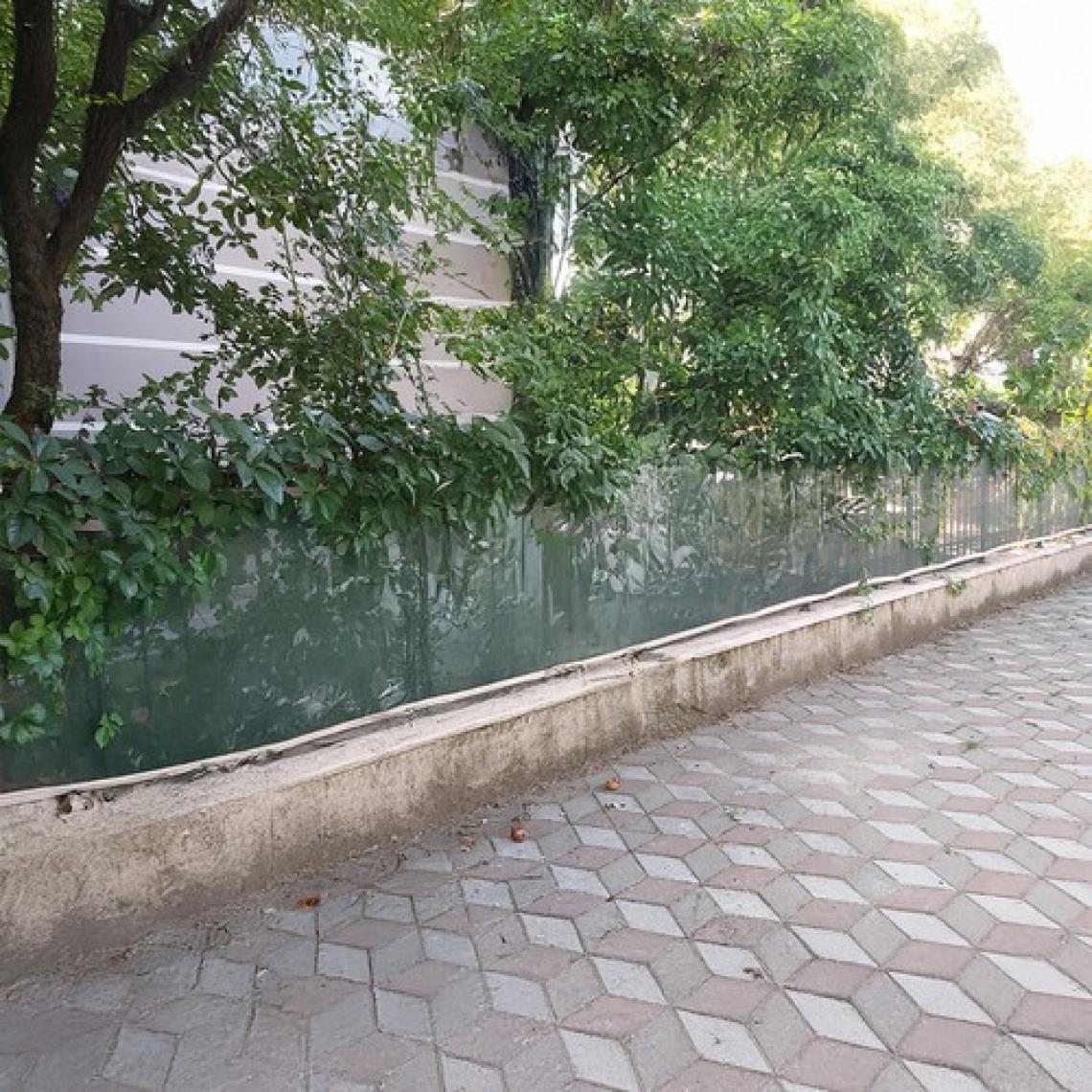 Morilu Gölgelik File Çit Filesi - 55lik - 2 Metre En Yeşil - Şeritli Halkalı - Çit Örtüsü Balkon Gölgelik
