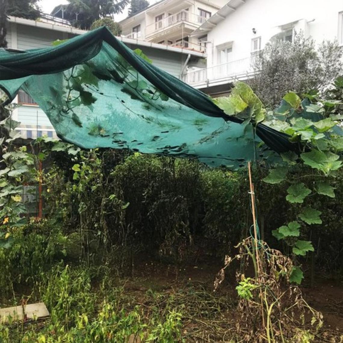 Morilu Gölgelik File Bahçe Çit Filesi - 95lik - 1 Metre En Yeşil - Düz Kenar - Çit Örtüsü Çit Brandası