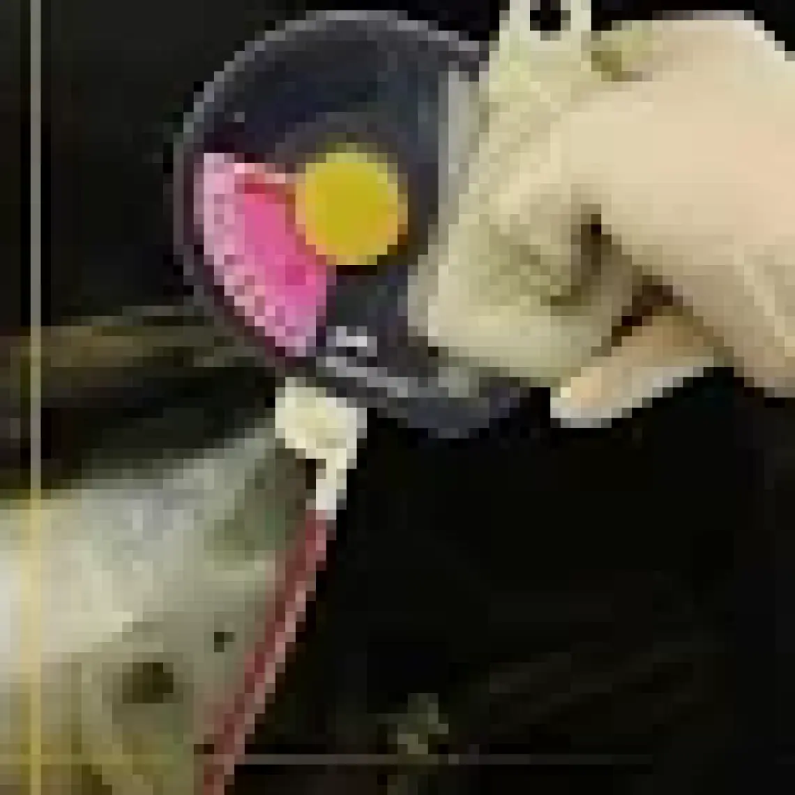 Gefo 1100 Glycomat Antifiriz Bomesi