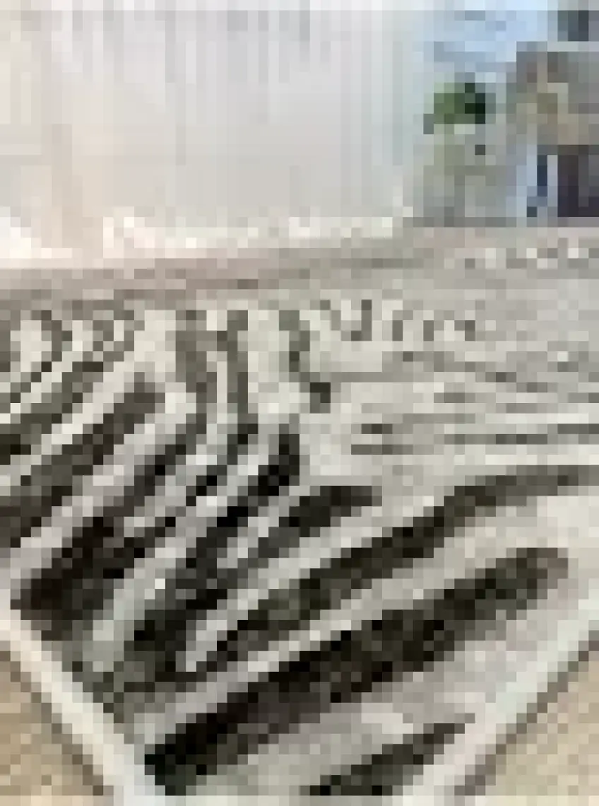 Brillant Zebra Desenli Dekoratif Halı