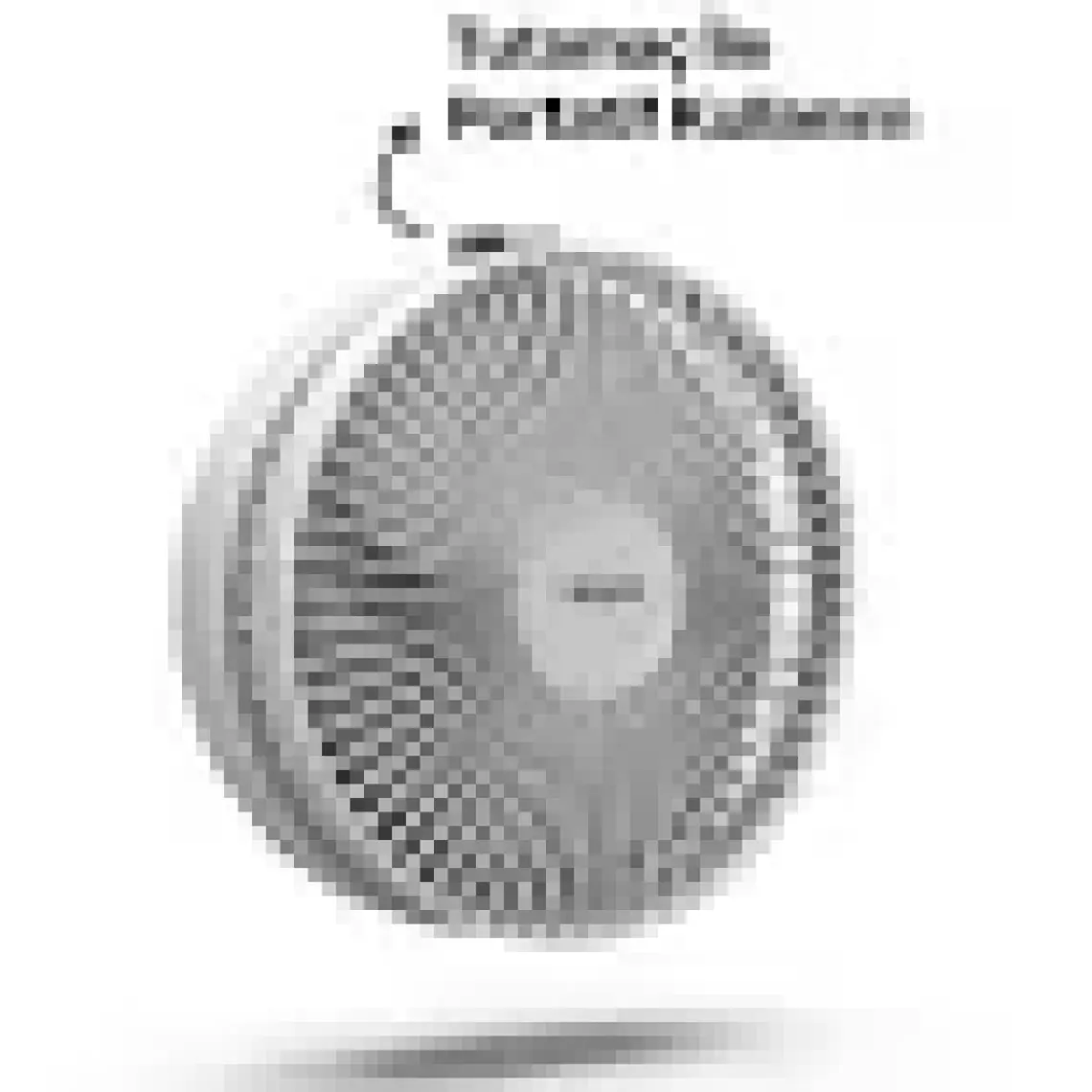 Xenon Smart Katlanabilir Vantilatör Doğal Rüzgar Şarj Edilebilir Bataryalı 4 Hız Kademeli Ultra Sessiz Taşınabilir Ayaklı Fan X6103