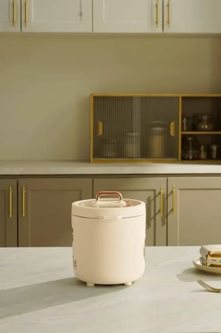 Elektrikli Tencere Çok Fonksiyonlu Hızlı Akıllı Pişirici Yoğurt Makinesi 1,2l 300w Fr-bp01 Retrocook