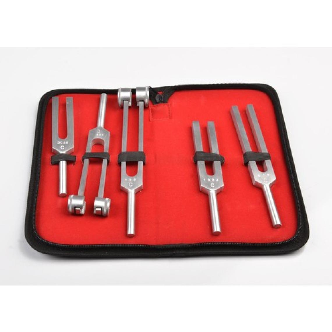 Pulsemed Diyapozon Set 5'li