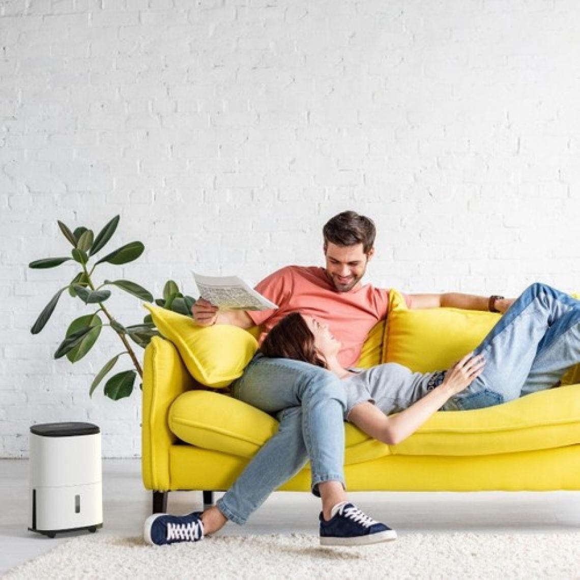 Meaco Dry Arete One 20L Nem Alma ve Hava Temizleme Cihazı