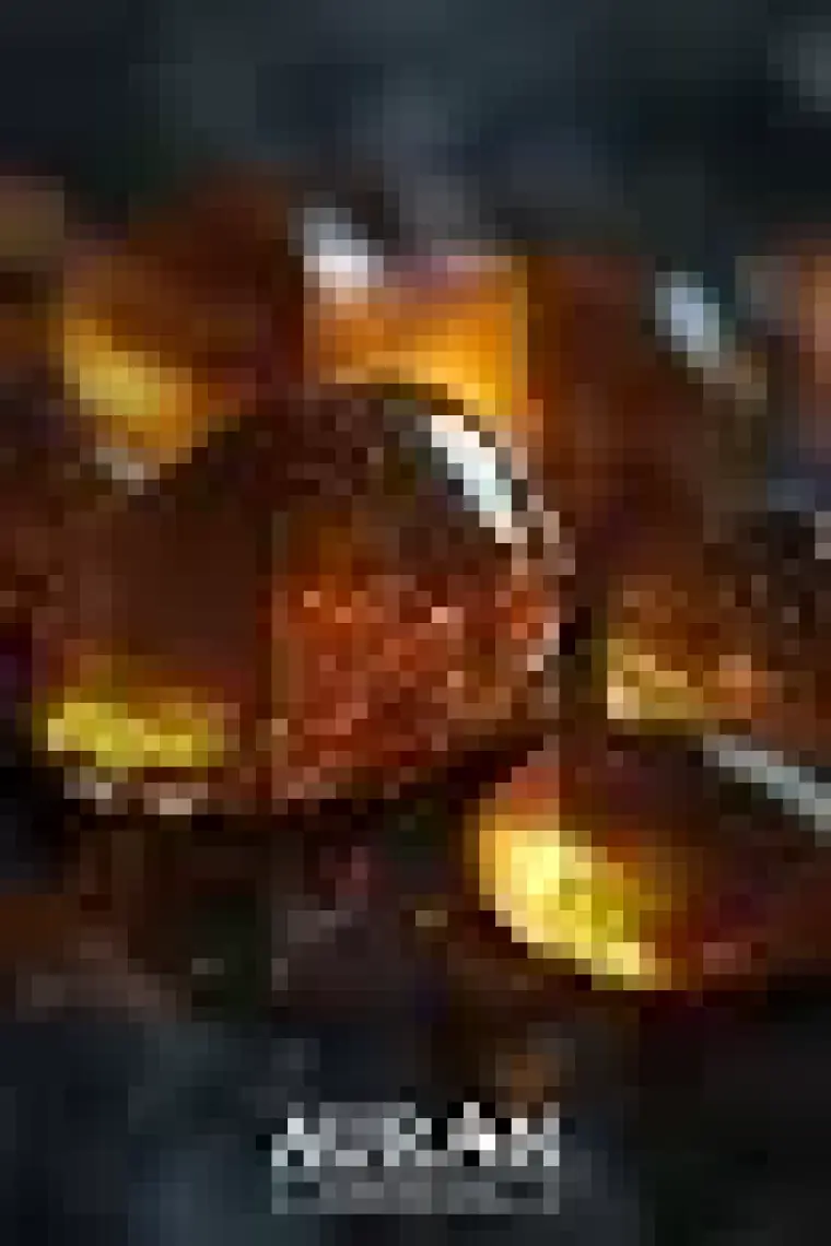 Auran Amber Saf Esansiyel Uçucu Yağ Buhurdanlık Yağı Difüzör Esansı Aromaterapi Ortam Koku Yağı 10ml