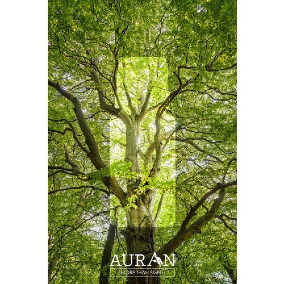 Auran Sandal Ağacı Esansiyel Uçucu Koku Yağı Buhurdanlık Yağı Difüzör Esansı Hobi Esans Ortam Oda 10ml