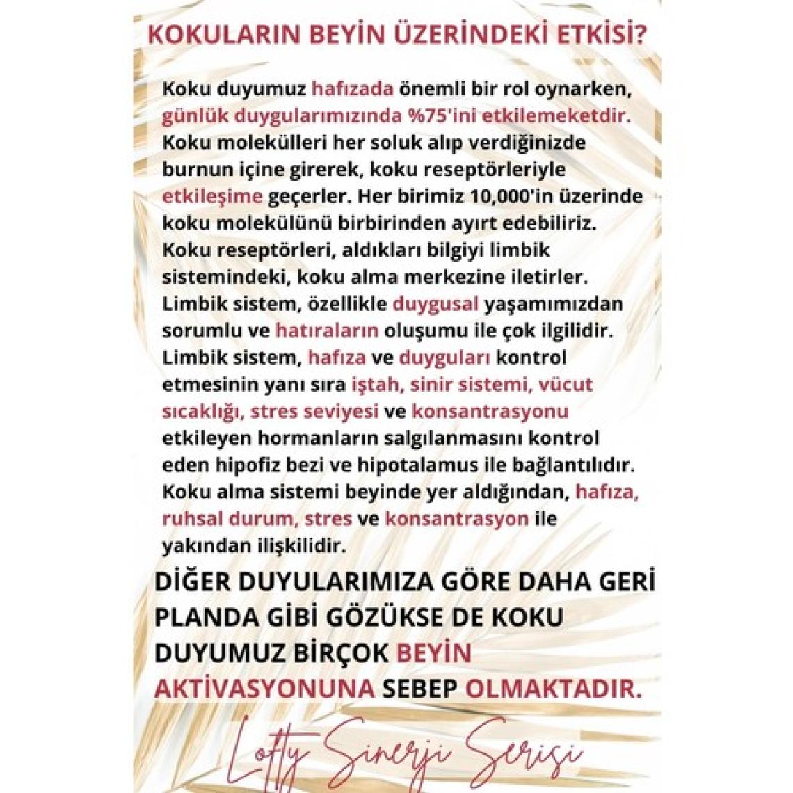 Lofty 10'lu Set Sinerji Karışım Esansiyel Uçucu Yağ Buhurdanlık Yağı Aromaterapi Difüzör, Esans
