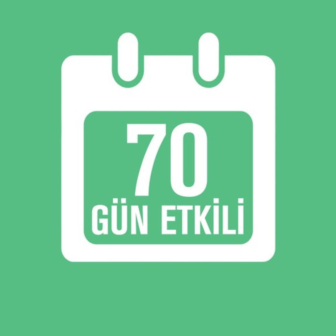 Air Wick Freshmatic Kit Bahar Çiçekleri Oda Kokusu