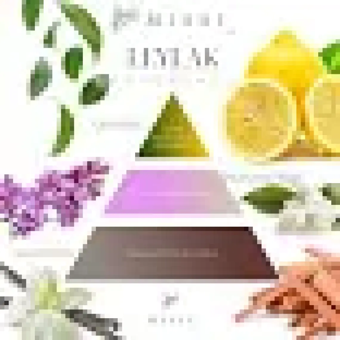 Missi 20 ml Fıg Buhurdanlık Esansı/yağı