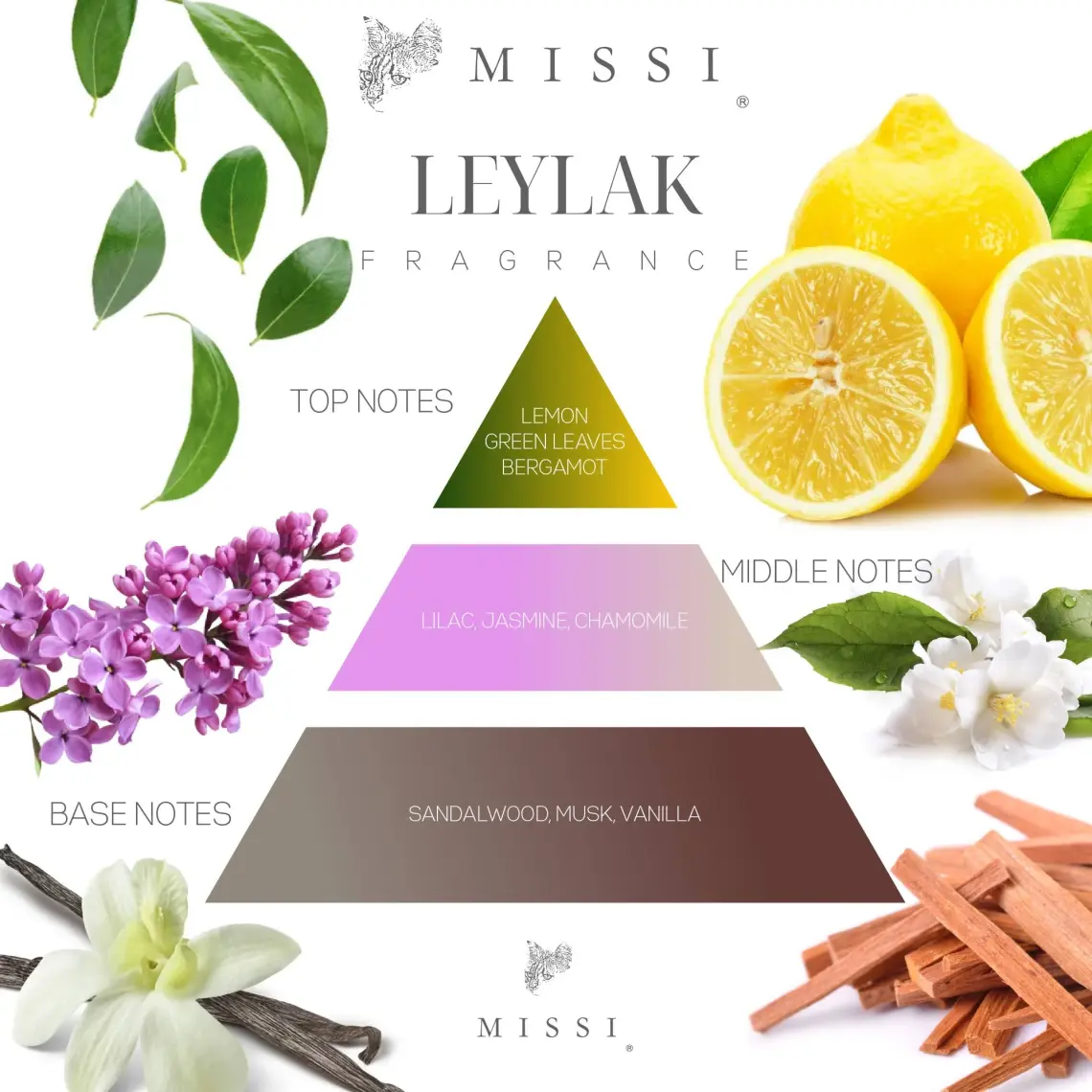 Missi 20 ml Fıg Buhurdanlık Esansı/yağı