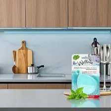 Wellnax Breeze Refresh Bulaşık Makinası Koku Giderici Nane X1