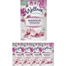 Wellnax Breeze Refresh Dolap ve Çekmece Kokusu Manolya Ferahlığı Kesesi X5