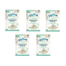 Wellnax Breeze Refresh Dolap ve Çekmece Kokusu Osmanthus Notaları Kesesi X5