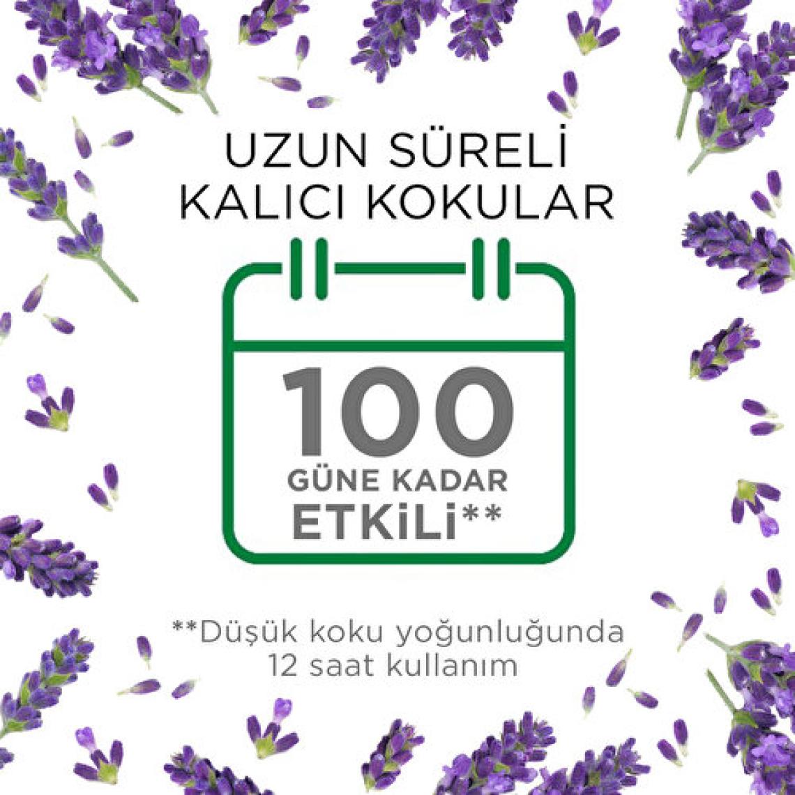 Air Wick Elektrikli Kit Oda Kokusu Lavanta  ( 1 Adet Cihaz + 1 Adet Yedek Şişe )