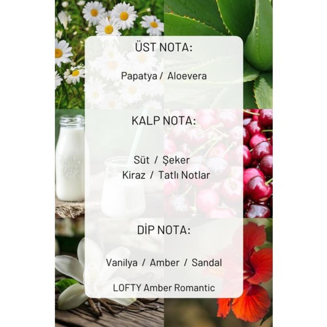 Lofty Amber Romantik Oda ve Çamaşır Spreyi Oda Parfümü, Oda Kokusu, Koku Giderici 250ML