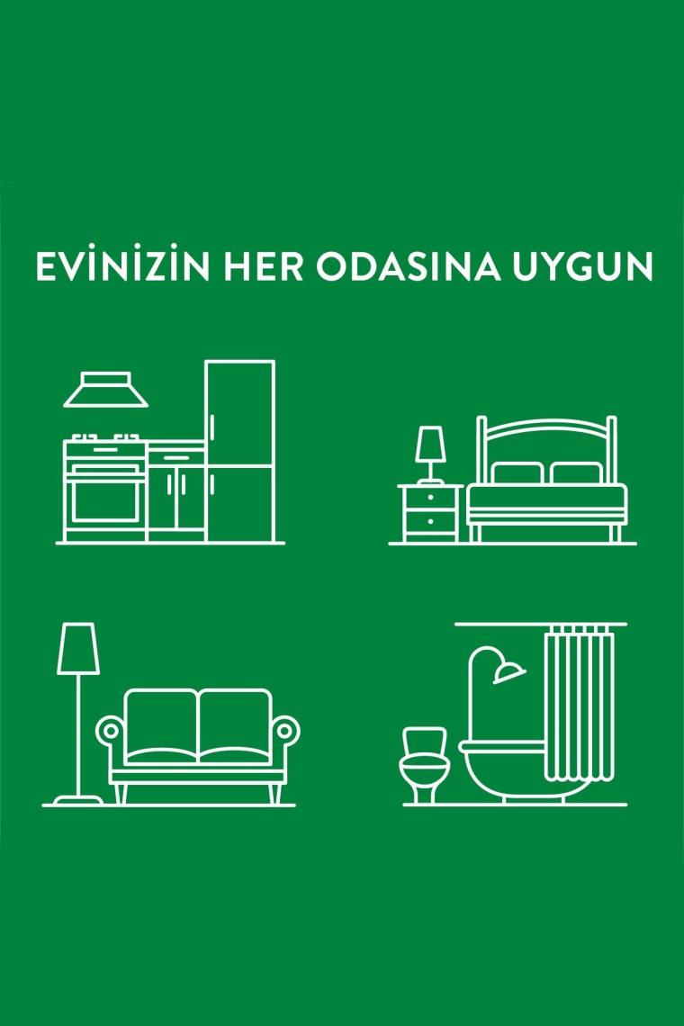 Oda Kokusu Bahar Çiçekleri 2'Li Yedek