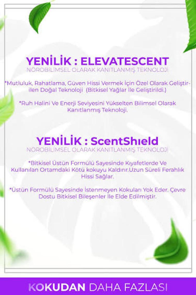 Auran Lavanta Esansiyel Uçucu Koku Yağı Buhurdanlık Yağı Difüzör Esansı Hobi Esans Ortam Oda Kokusu 10ml