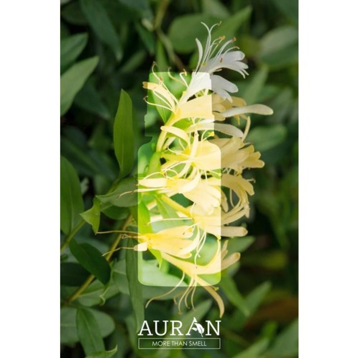 Auran Hanımeli Saf Esansiyel Uçucu Yağ Buhurdanlık Yağı Difüzör Esansı Aromaterapi Ortam Koku Yağı 10ml