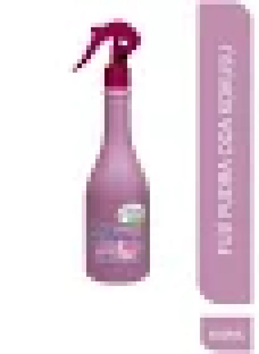 Fuji Neon Air Oda Kokusu Kalıcı Oda Spreyi Pudra Oda Kokusu 400 ml Powder Home Parfüm