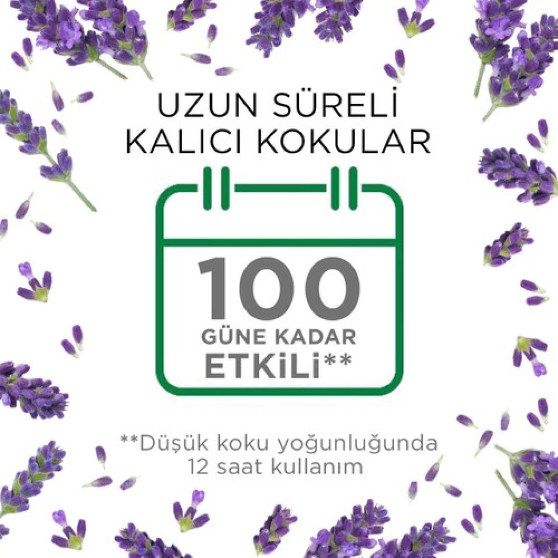 Air Wick Elektrikli Oda Kokusu Yedek Şişe Lavanta