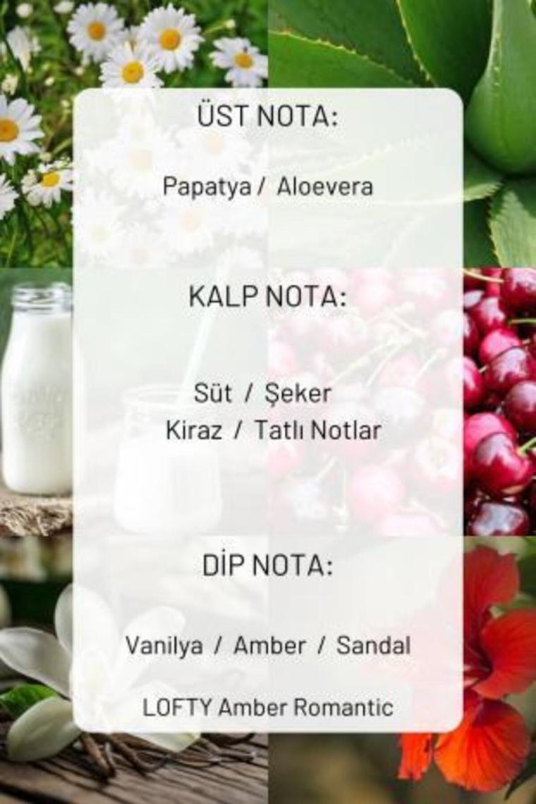 Lofty Amber Romantik Bambu Çubuklu Oda Kokusu 50 ml