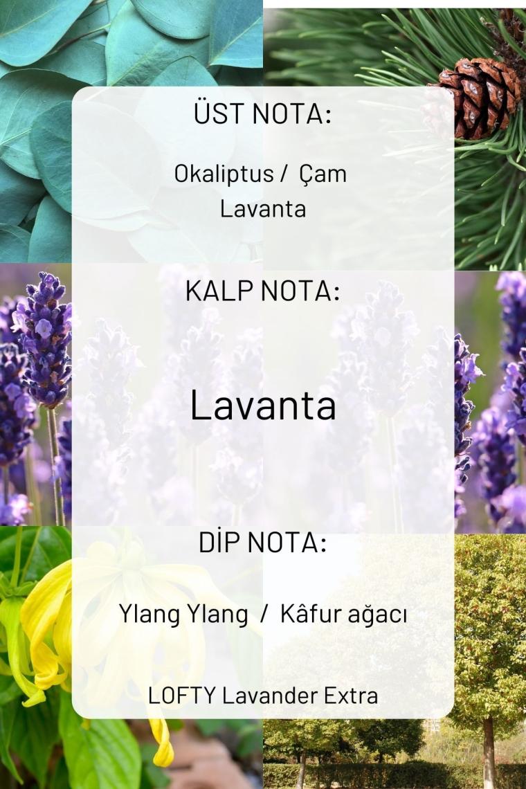 Lofty Amber Romantik Oda ve Çamaşır Spreyi Oda Parfümü, Oda Kokusu, Koku Giderici 500ML