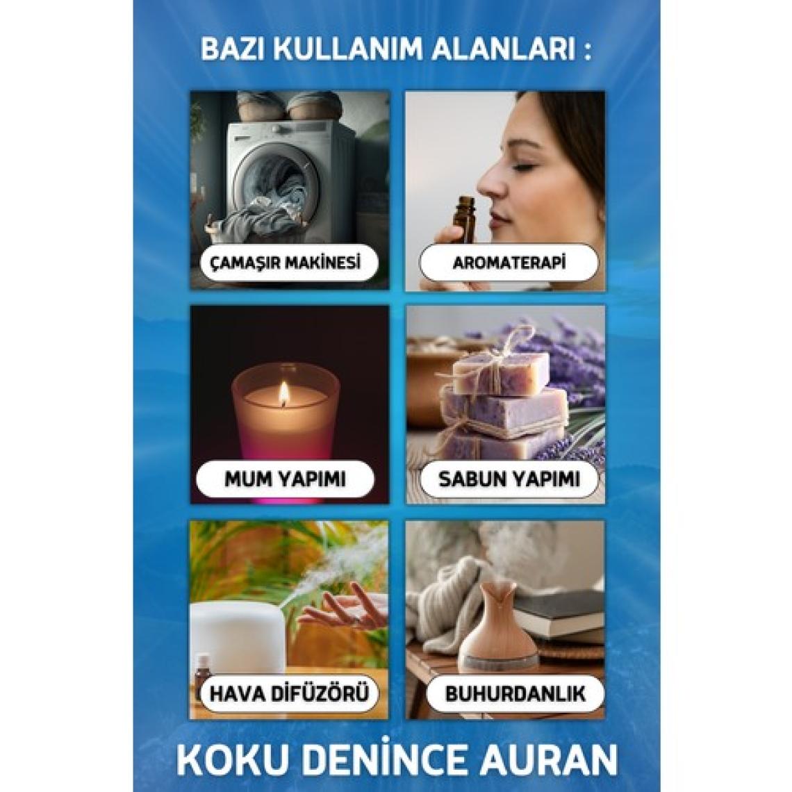 Auran Okaliptus Esansiyel Uçucu Koku Yağı Buhurdanlık Yağı Difüzör Esansı Hobi Esans Ortam Oda Kokusu 10ml