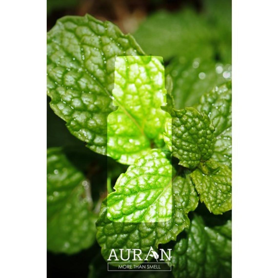 Nane Esansiyel Uçucu Koku Yağı Difüzör Esansı Buhurdanlık Yağı Aromaterapi Yağı 10ml