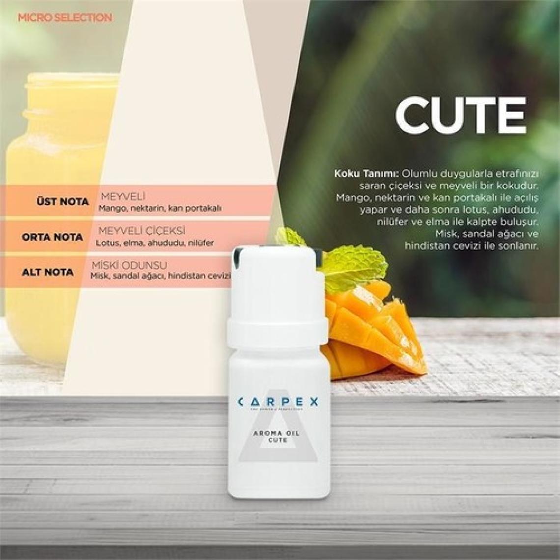 Carpex Micro Koku Makinesi Aromatik Koku Kartuşu Dark Sapphire 50 ml