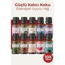 Auran Favori 10'lu Set Esansiyel Uçucu Yağ Buhurdanlık Yağı Hava Nemlendirici Aroma Difüzörü Kokusu Esans