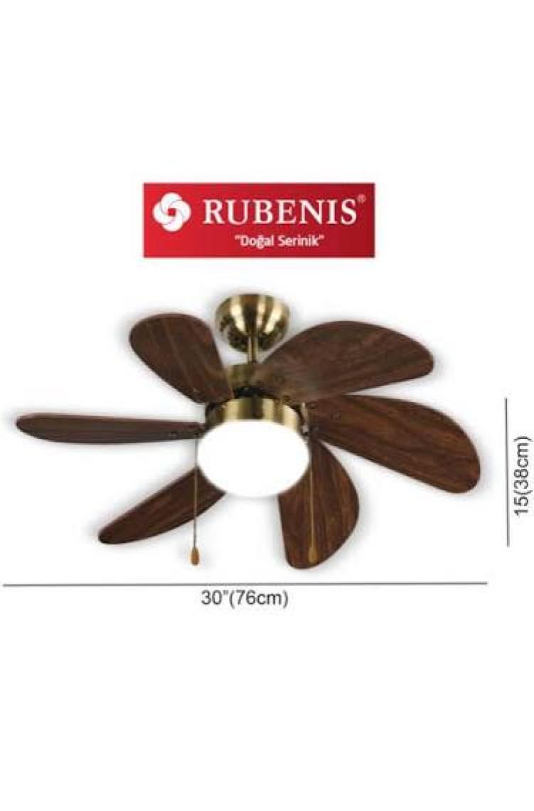 Rubenis RBT306 BRW Glob Aydınlatmalı Tavan Vantilatörü
